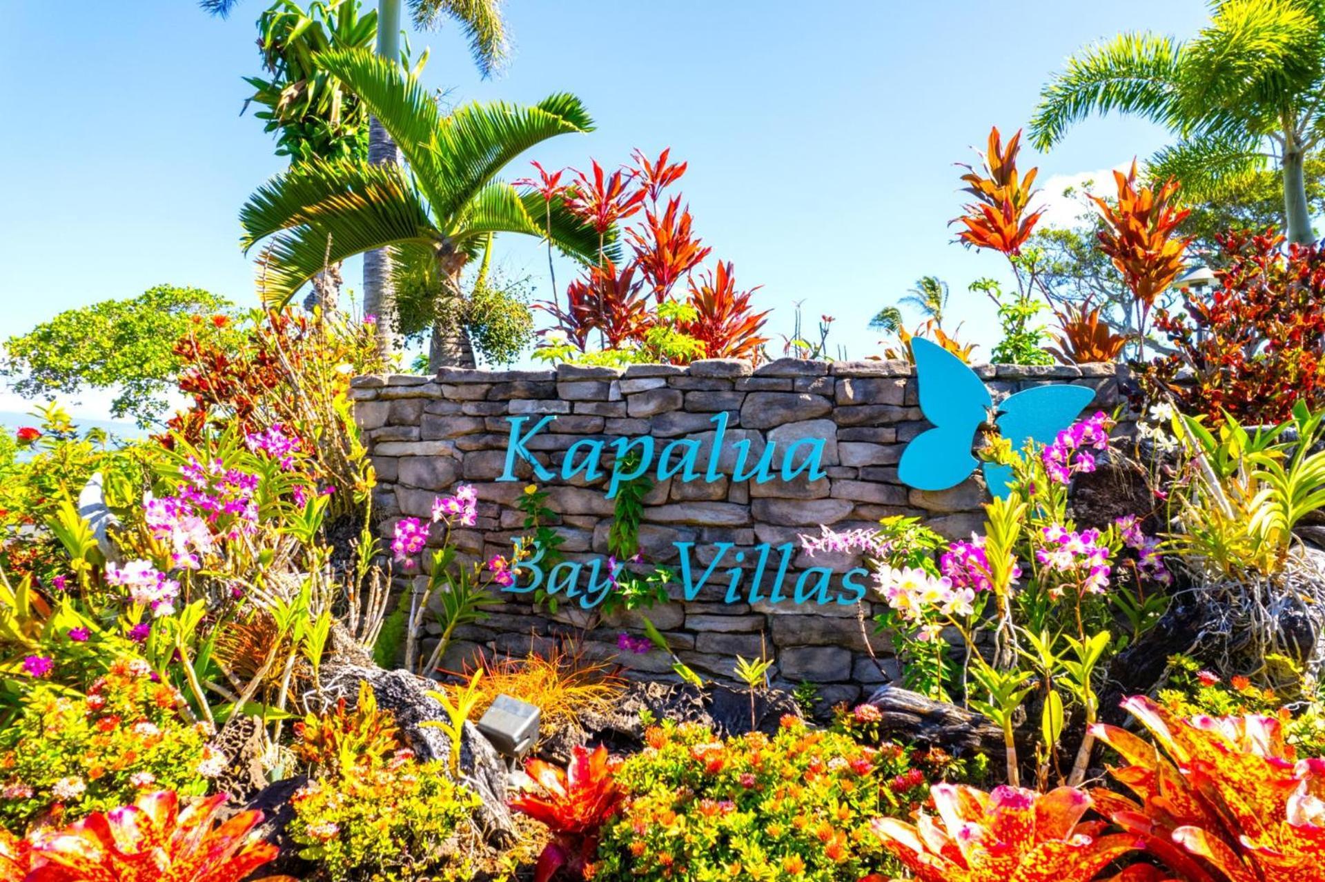 Kbm Resorts Free Car Kapalua Bay Villa Kbv-31G4 Spectacular Ocean Views Eksteriør billede
